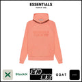ESSENTIALS FW22-06 Hoodie image 1