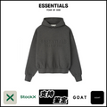 ESSENTIALS FW25-15 Hoodie image 1